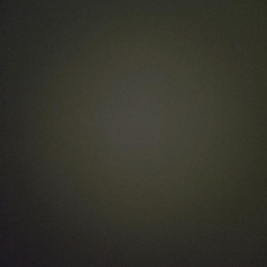 华南虎