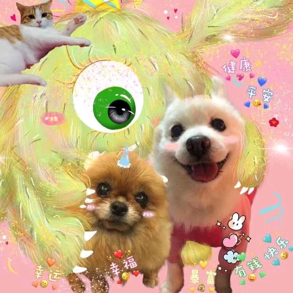 塔塔塔塔塔塔塔塔