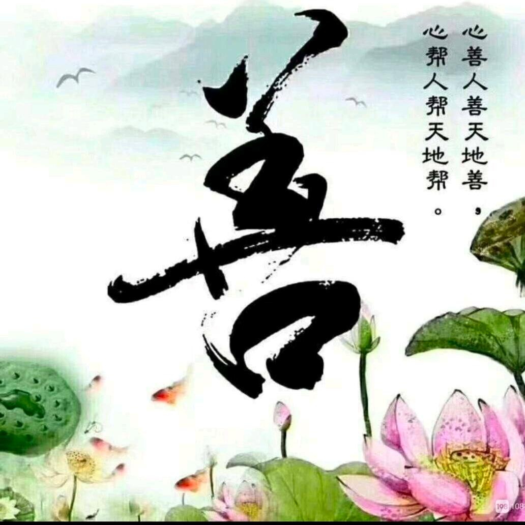 ☞善缘堂，九尾狐☜