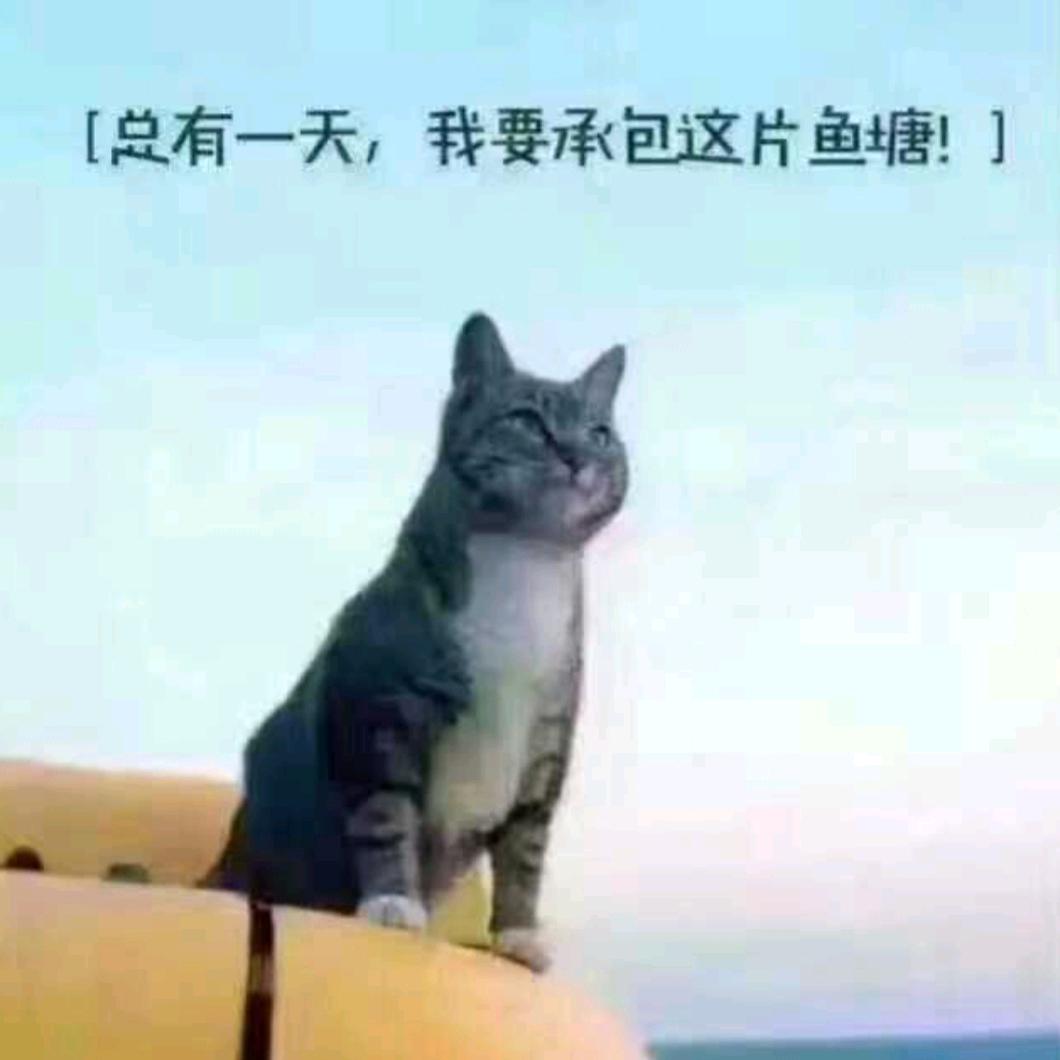 老杨  和兴   生活分享