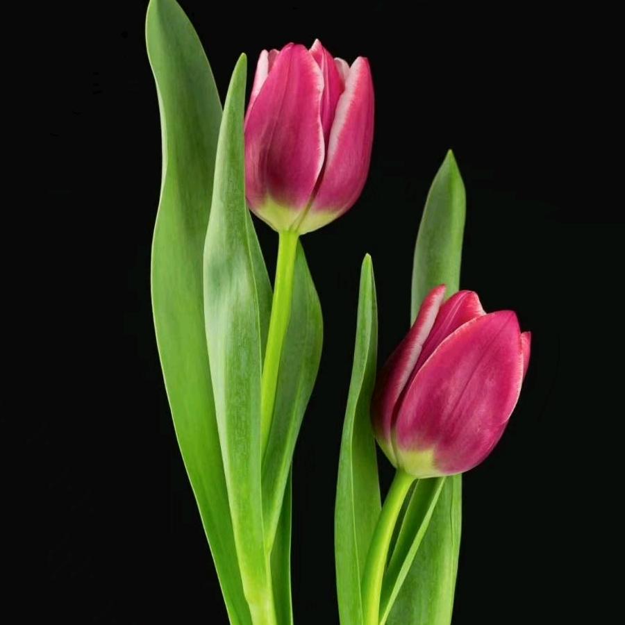 姐的世界你不懂