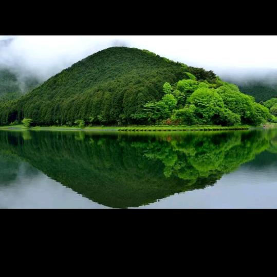 坚持就是胜利✌🏻