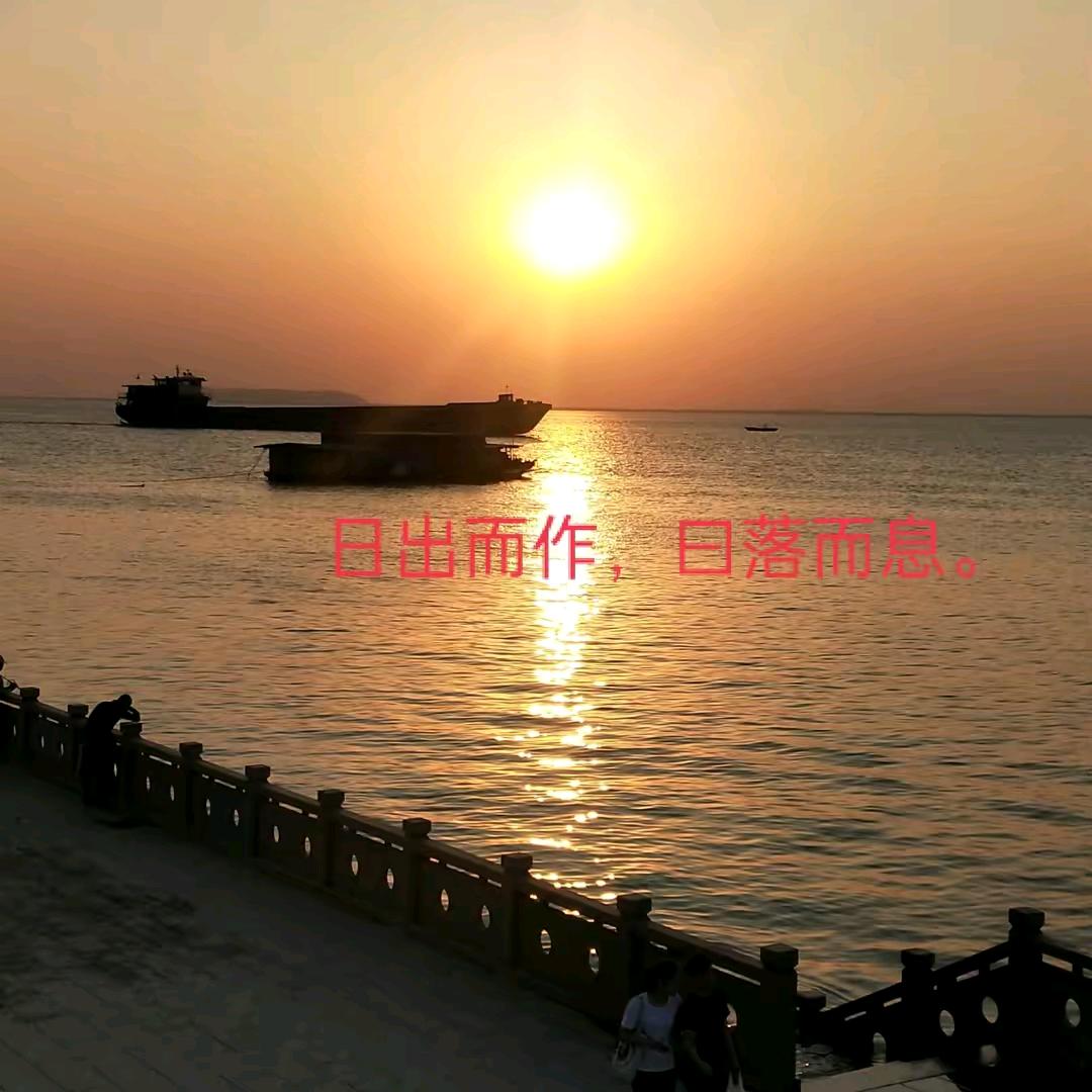 葛，日星