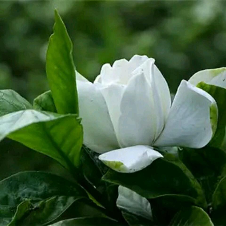 岁月无痕
