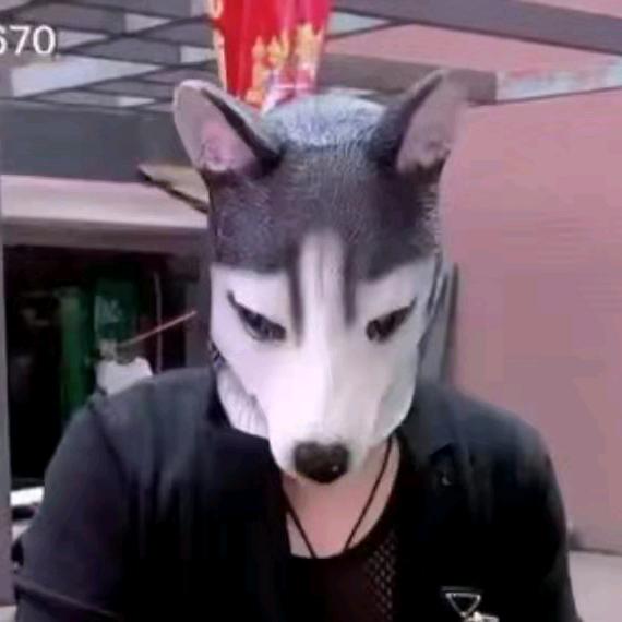 狗头哥