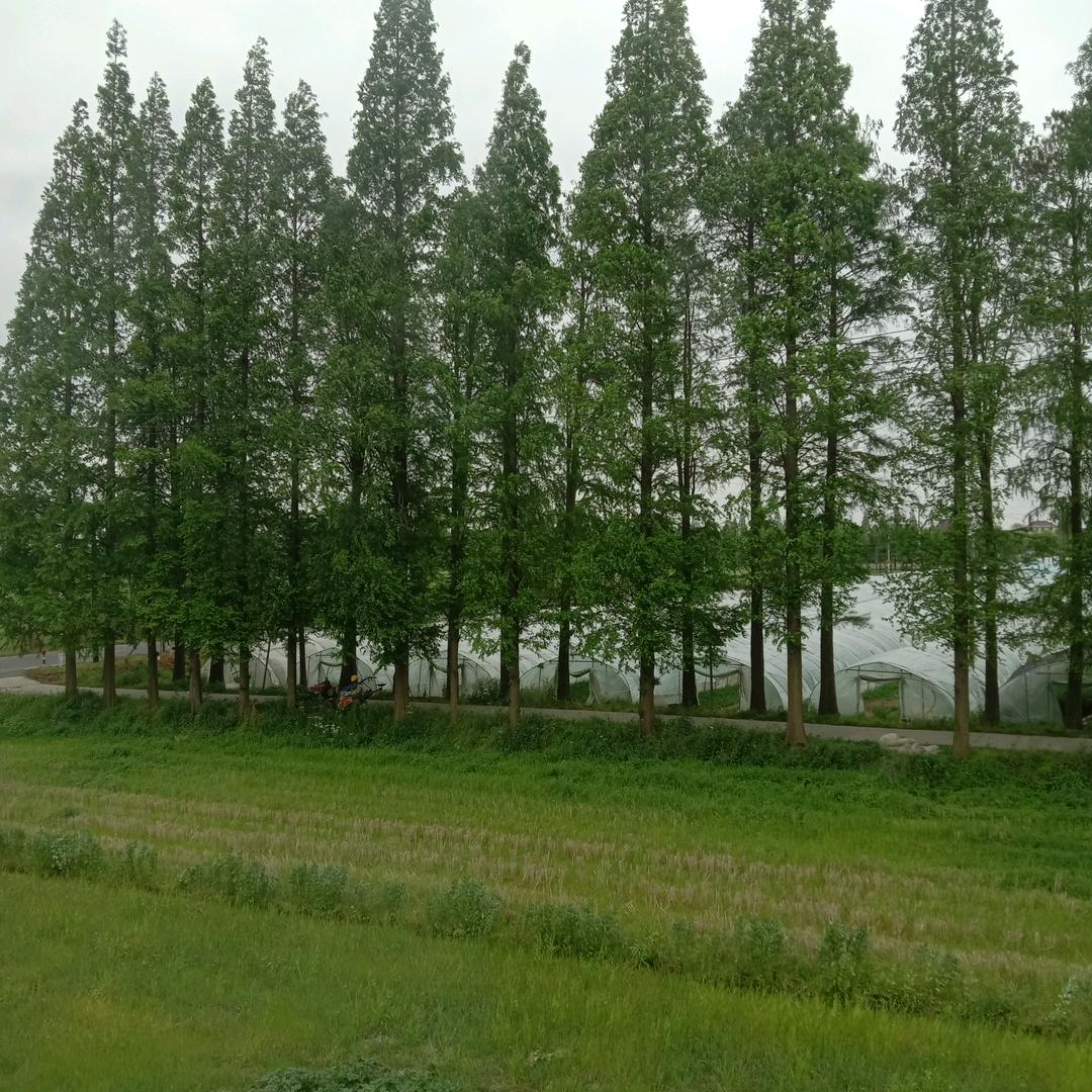 用户38323272