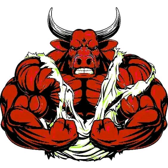 🥊🥊🐯🐯🐯🐯🥊🥊🇵🇸