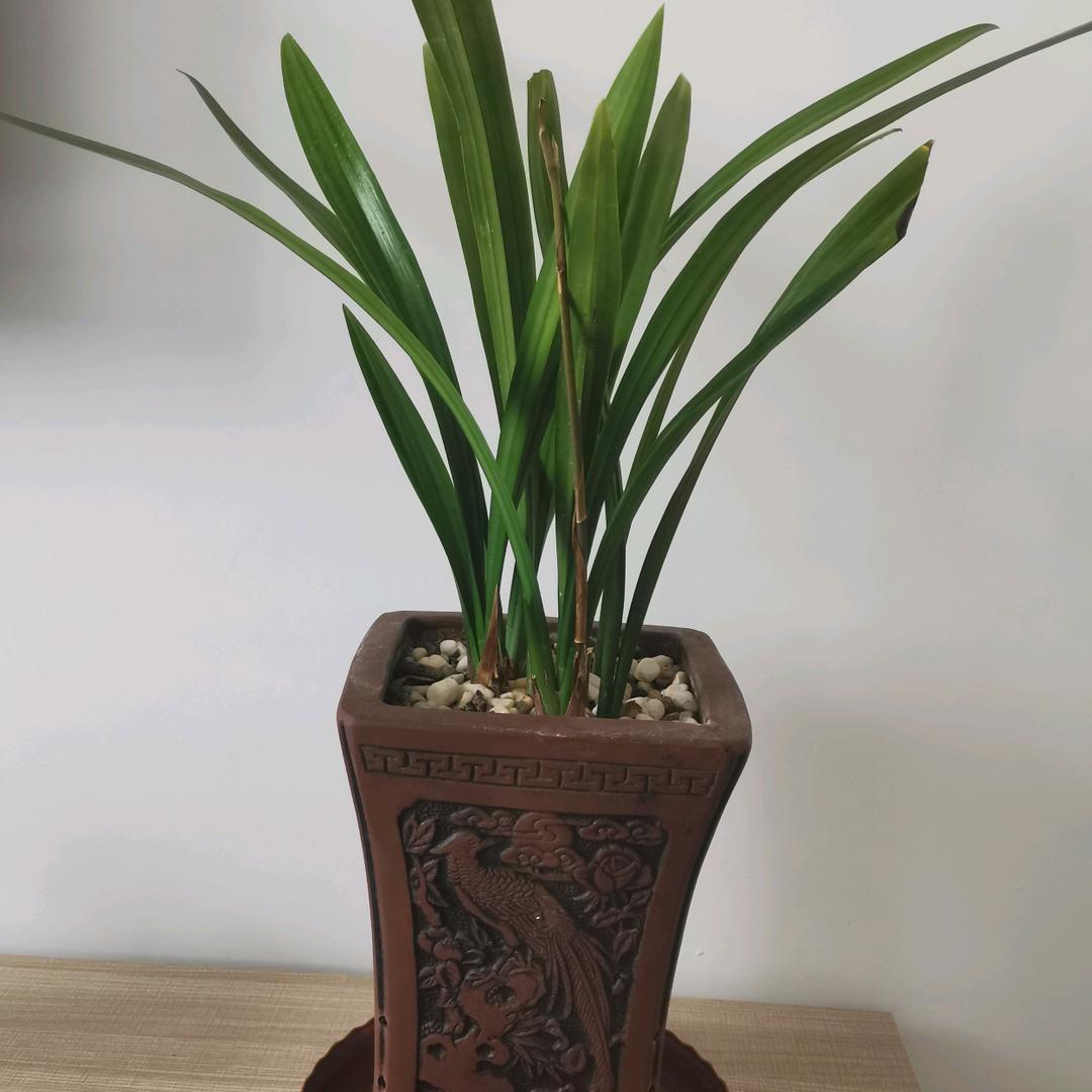 用户健康快乐就好