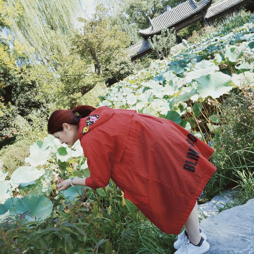 杜鹃花