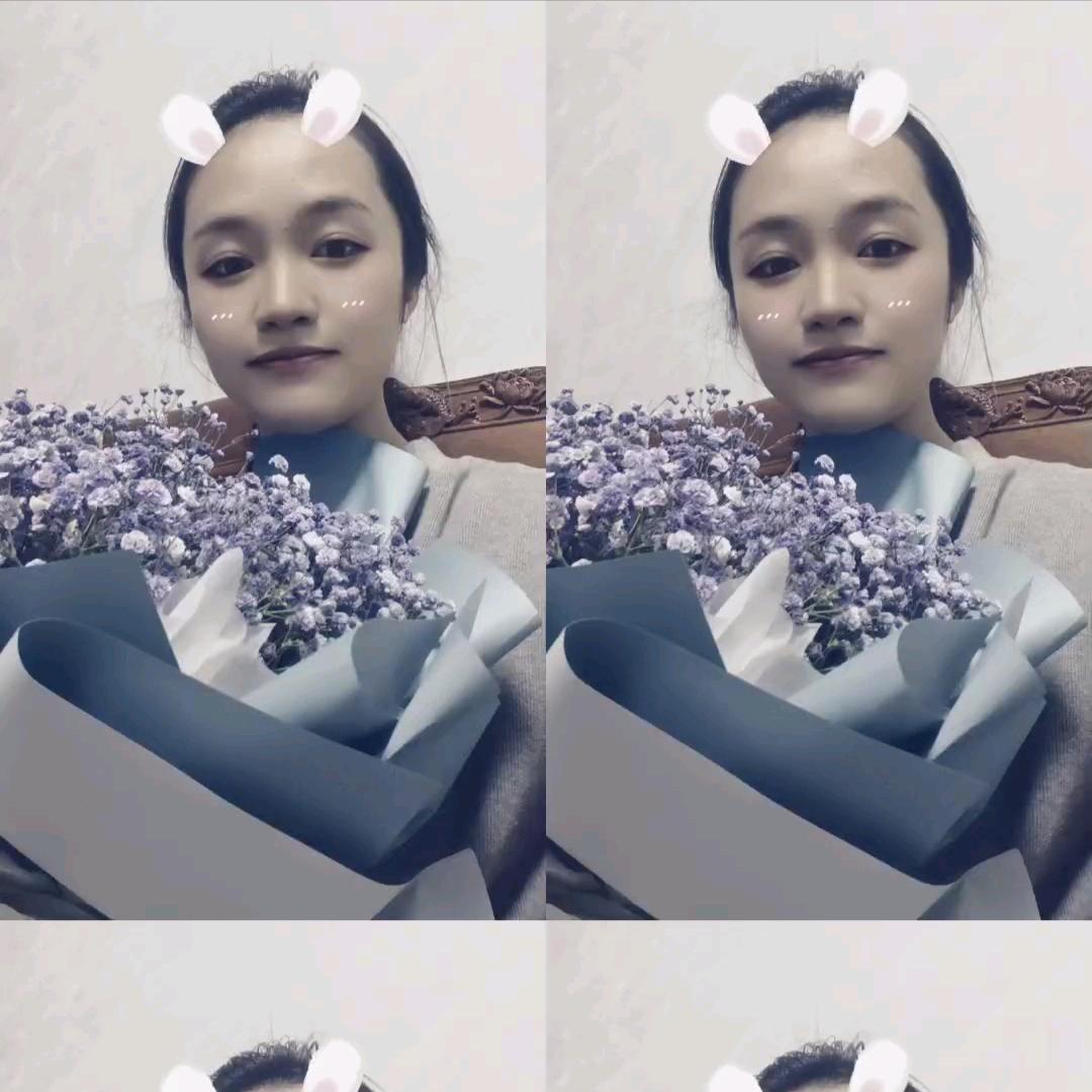 不会飞的翅膀
