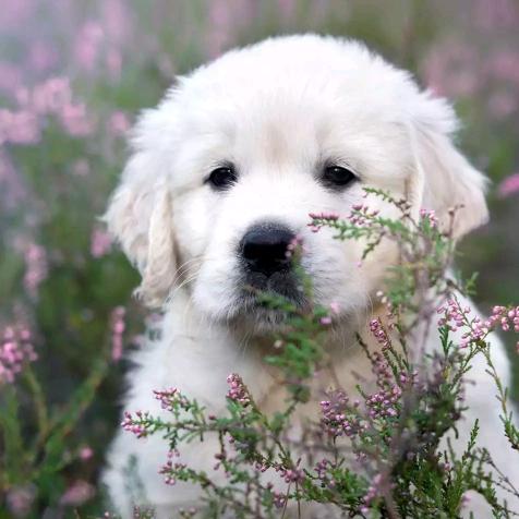 元气小姐姐🌻🌻