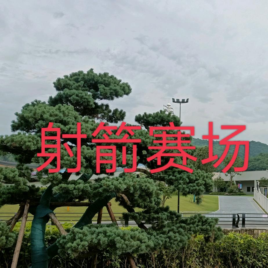 德强
