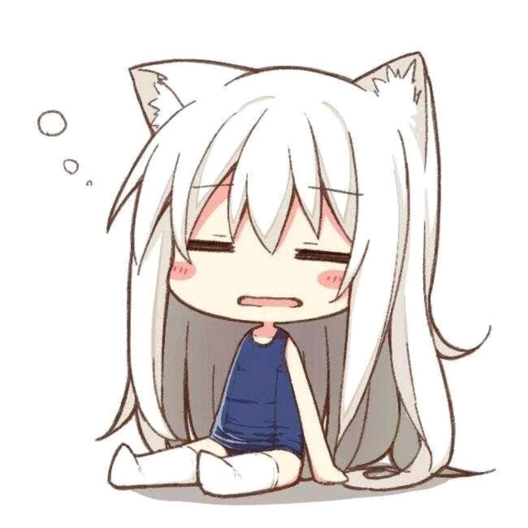 肥水猫