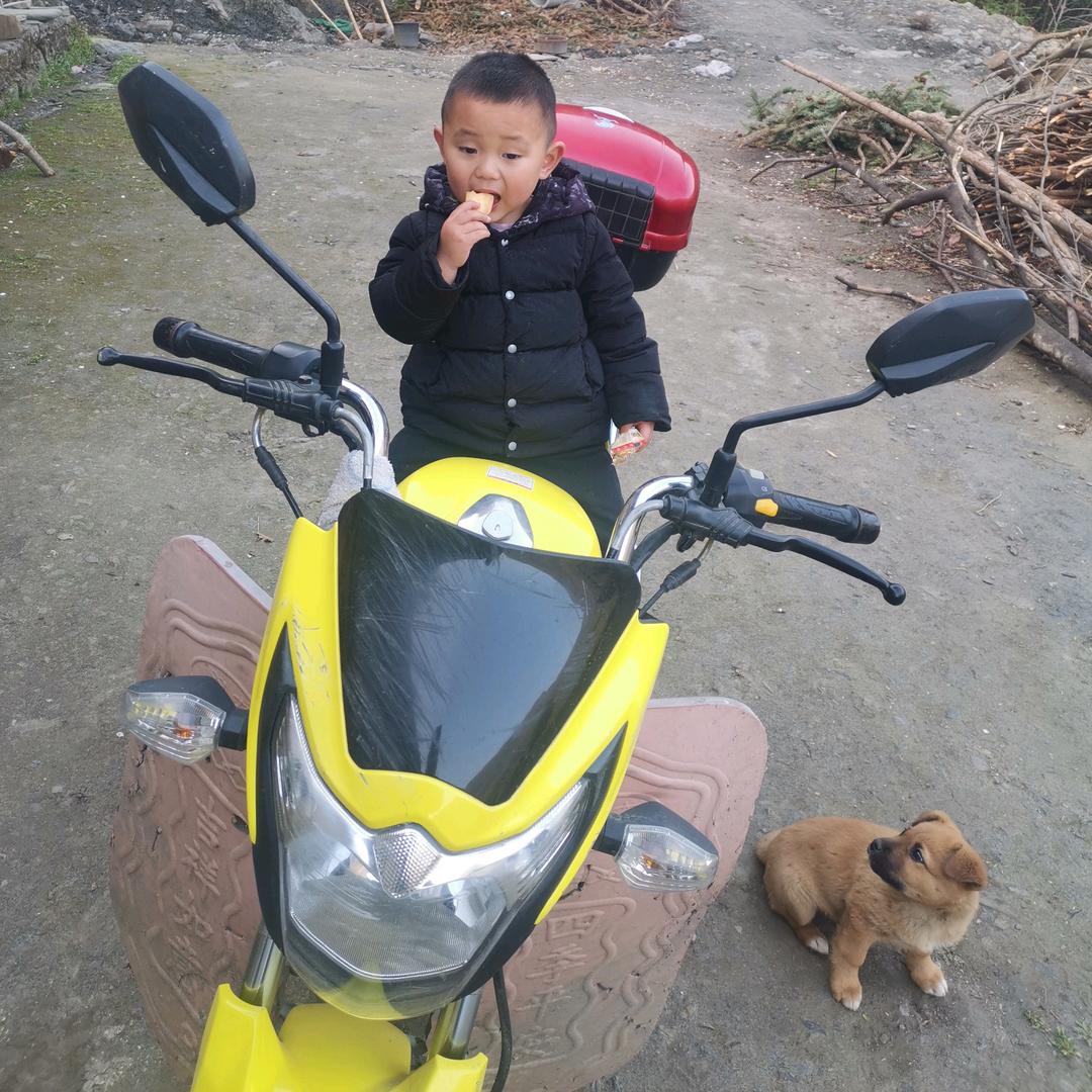 张龙哥🐒