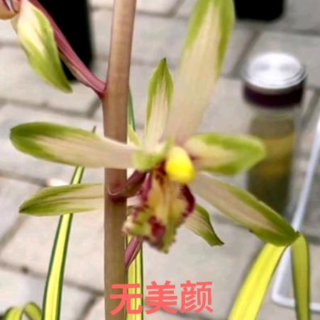 华中博兰