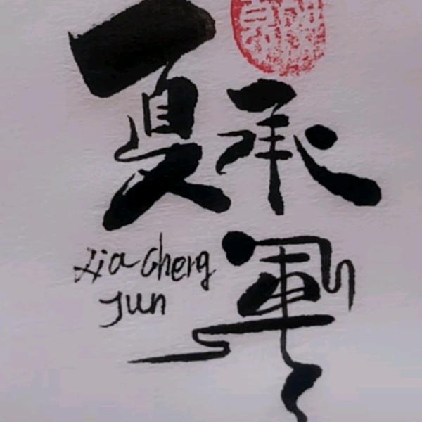 君临成夏_