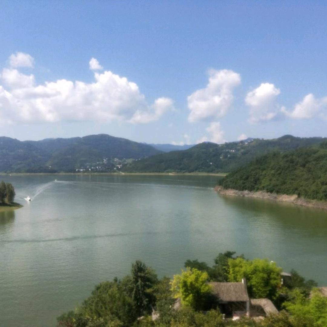 尘尘