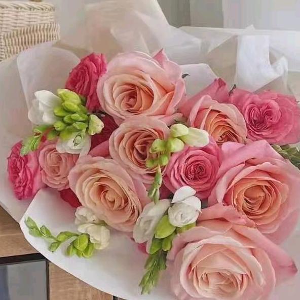 越来越好💕🌷