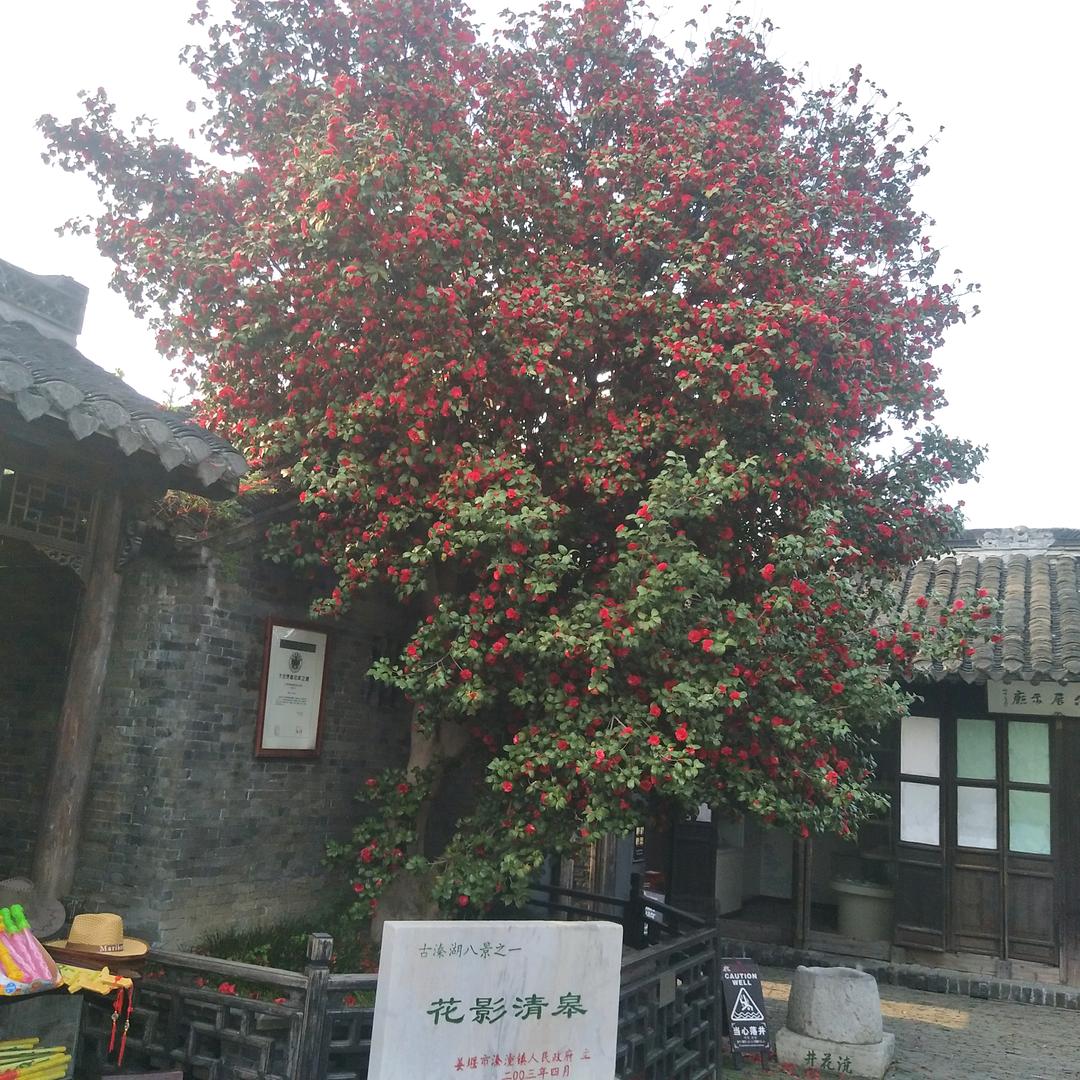 友缘🎤