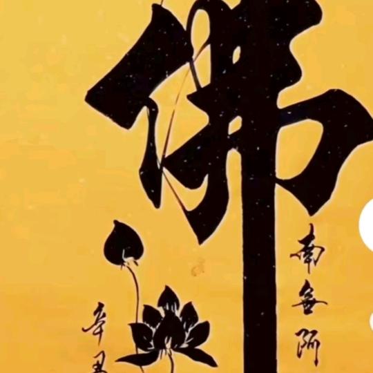 强哥