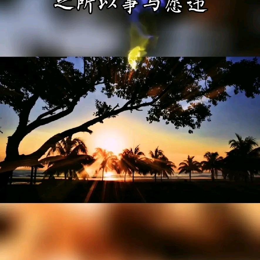 豫西南小曾