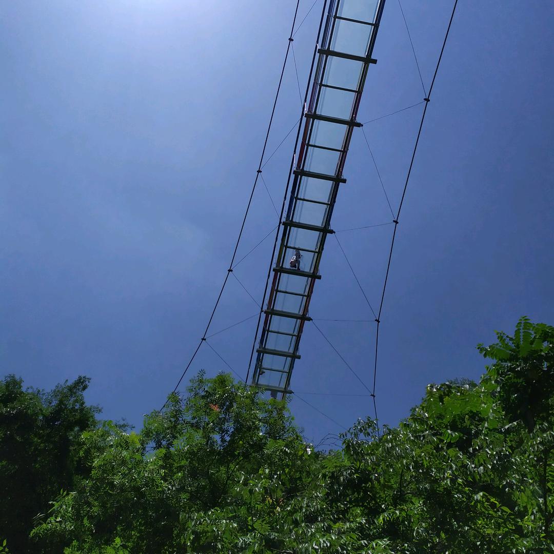 🌈半醉半醒半浮生
