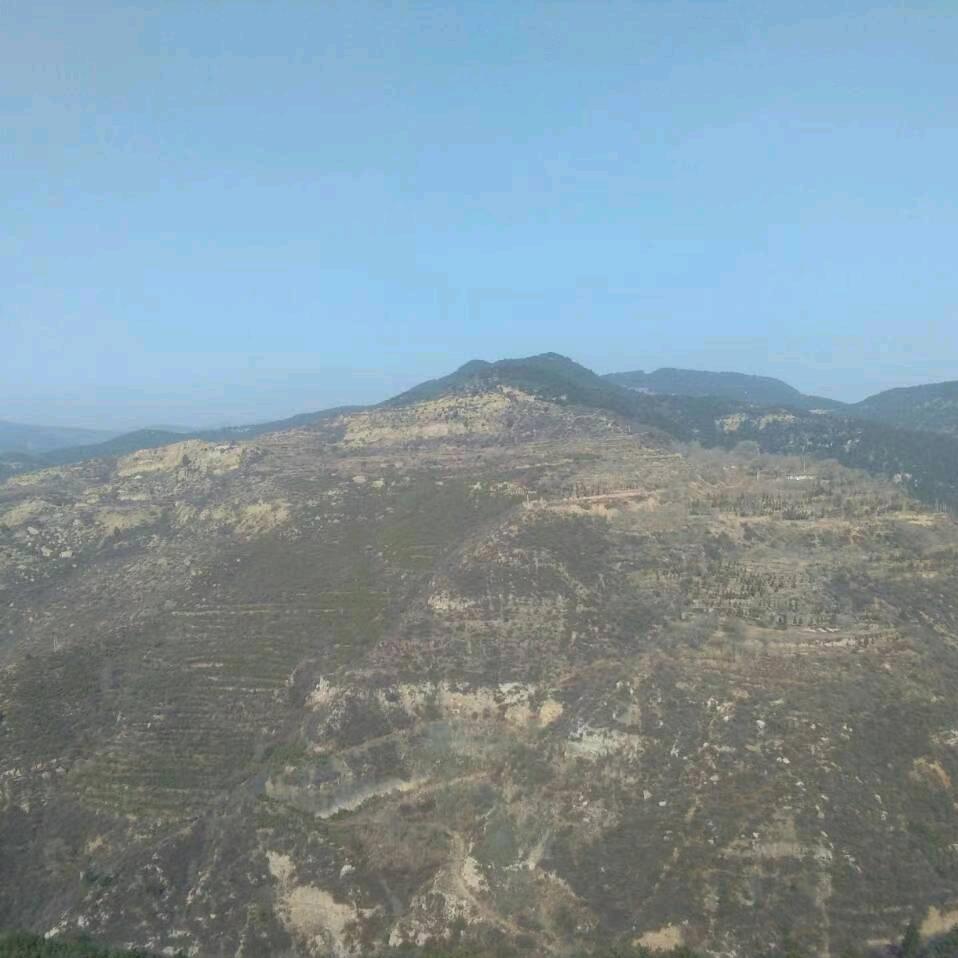 左手边的依靠_152983424