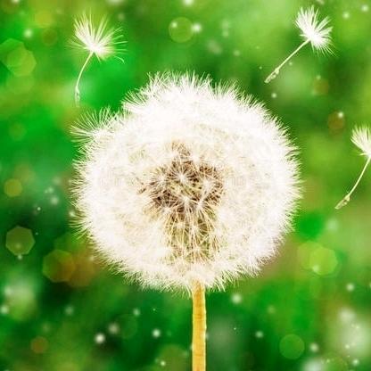 普公英(邴集)青少年成长中心