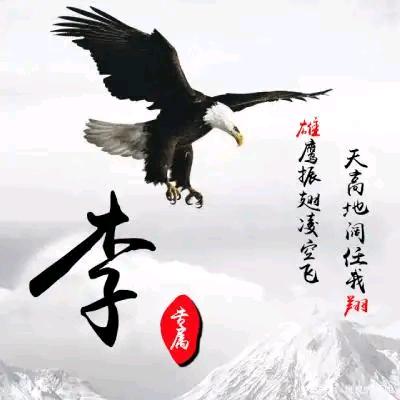 翱翔的雄鹰