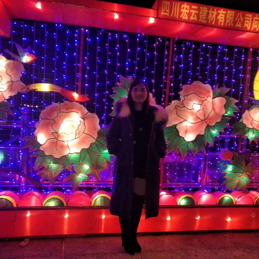 春天的花朵