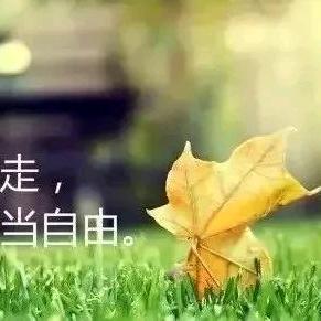 雾里看花