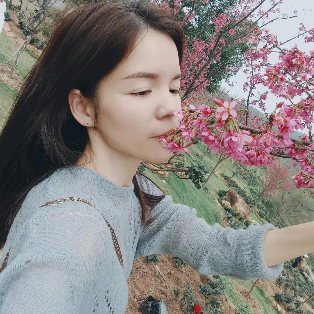 灵山县烟墩：黎记牛肉，牛肉干