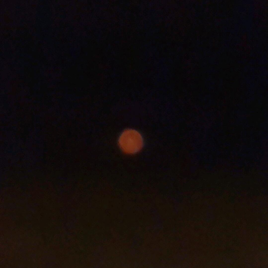 carpe diem（及时行乐）