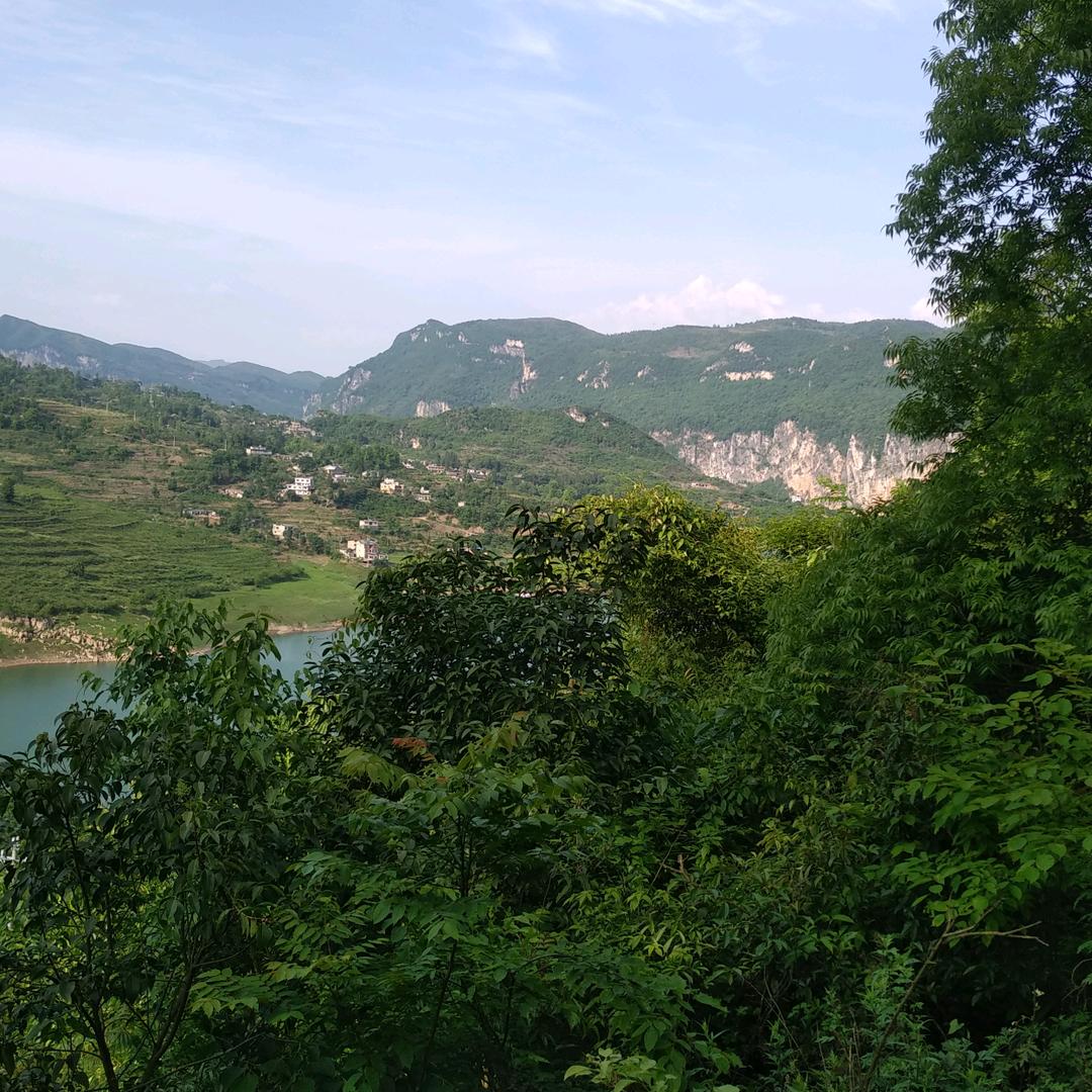 你有情我有意