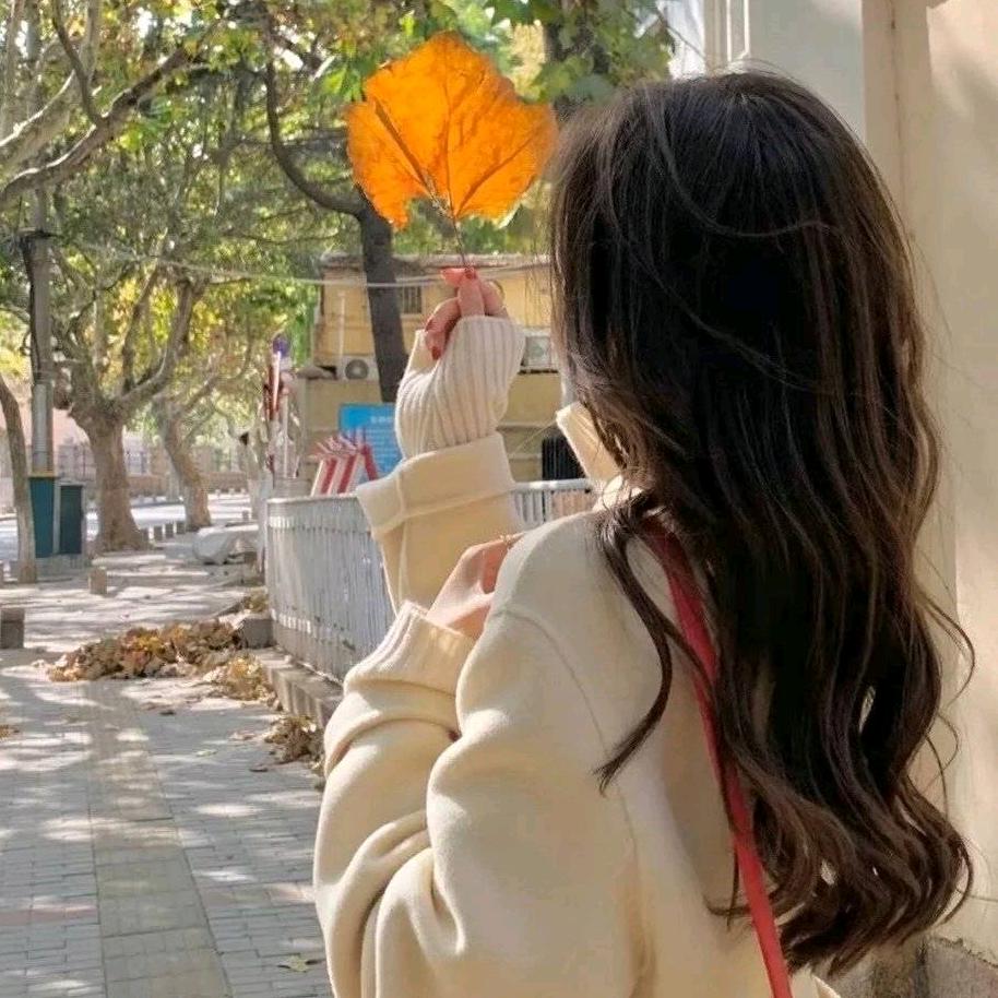 四小姐影视