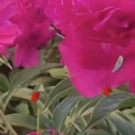 春暖花开！！！！！