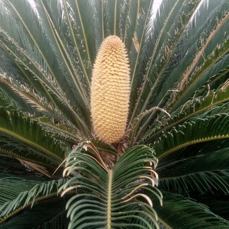 放眼未来，看清世界