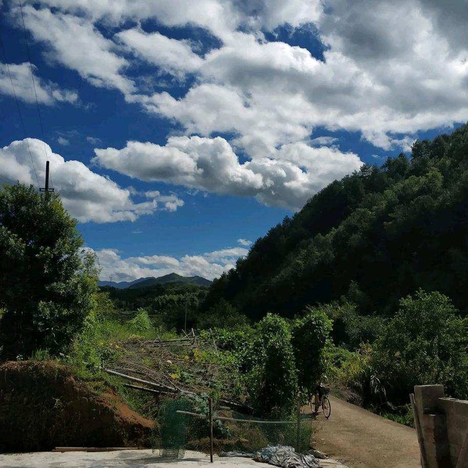 风吹过又一个黎明