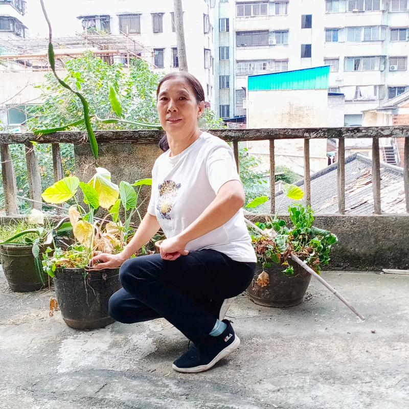 兰辉芬