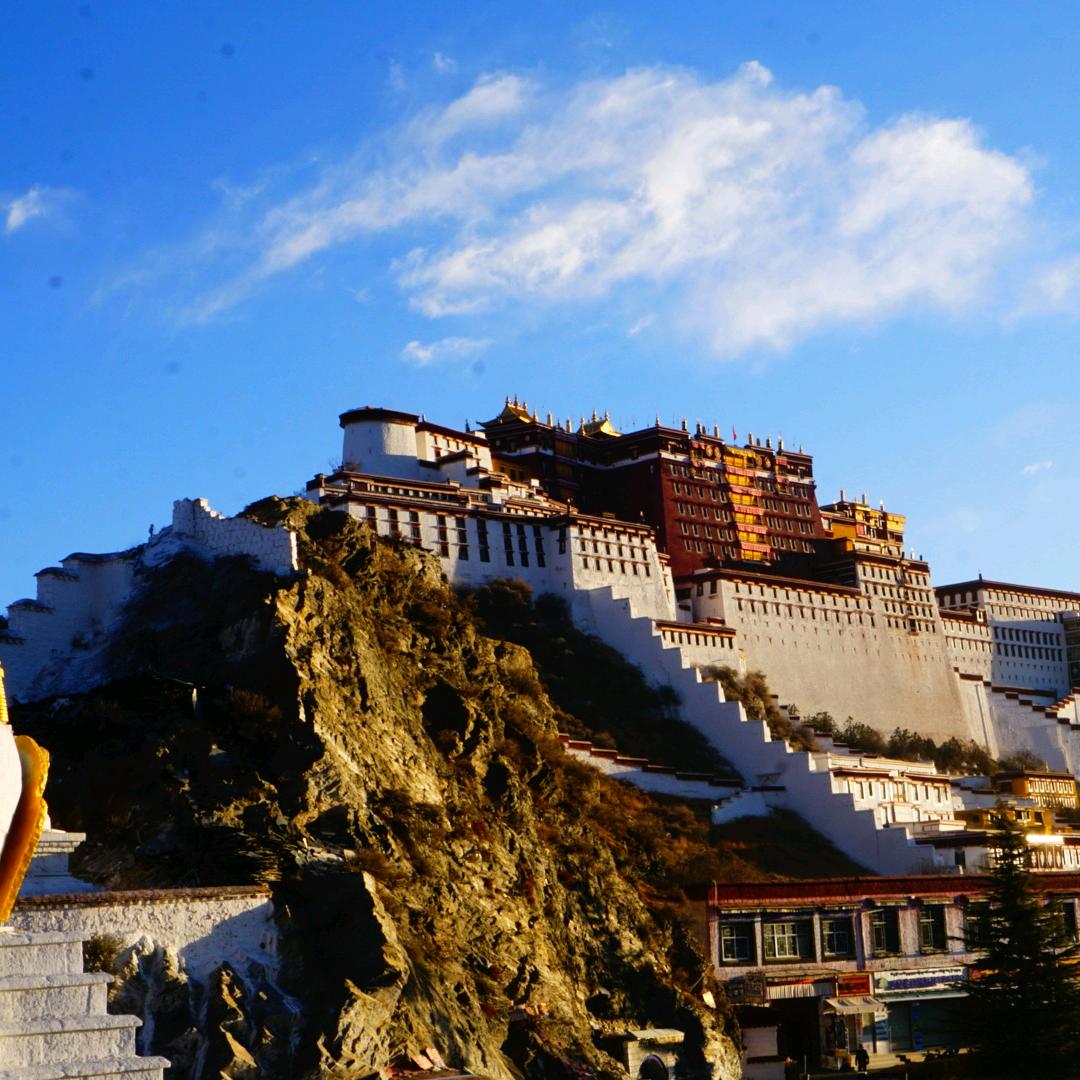 雪莲xuelian（715）