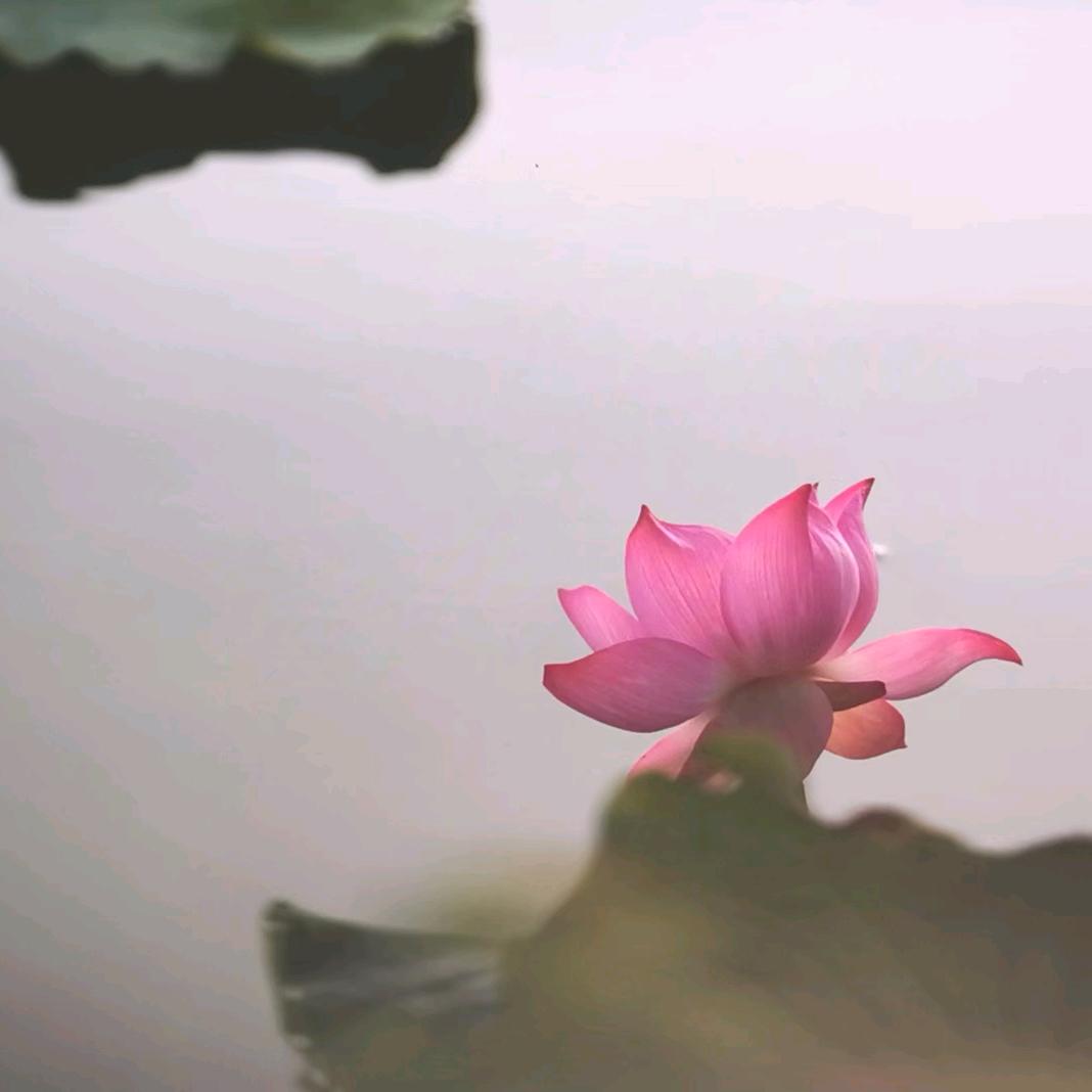 秀水青山67629