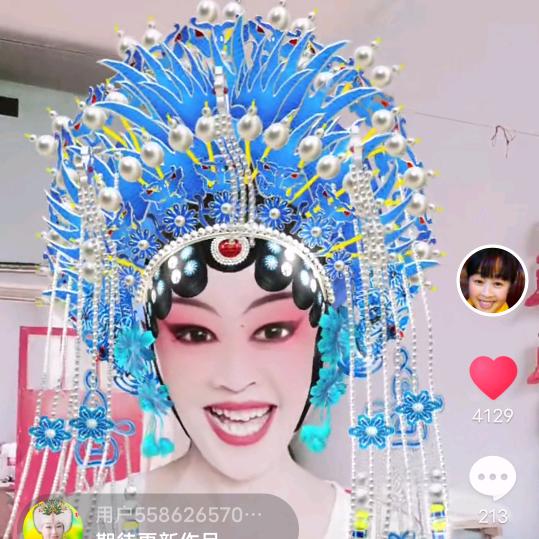 梅兰君竹