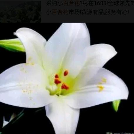 小妞