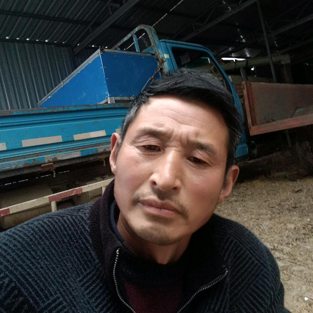 五河陈庆彬（建筑各种钢构彩钢房屋顶漏水