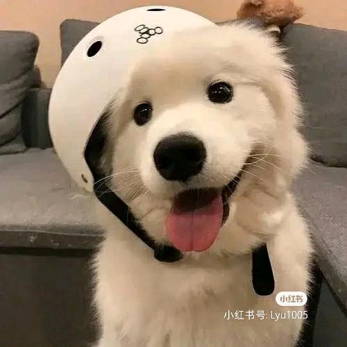 把手给我～