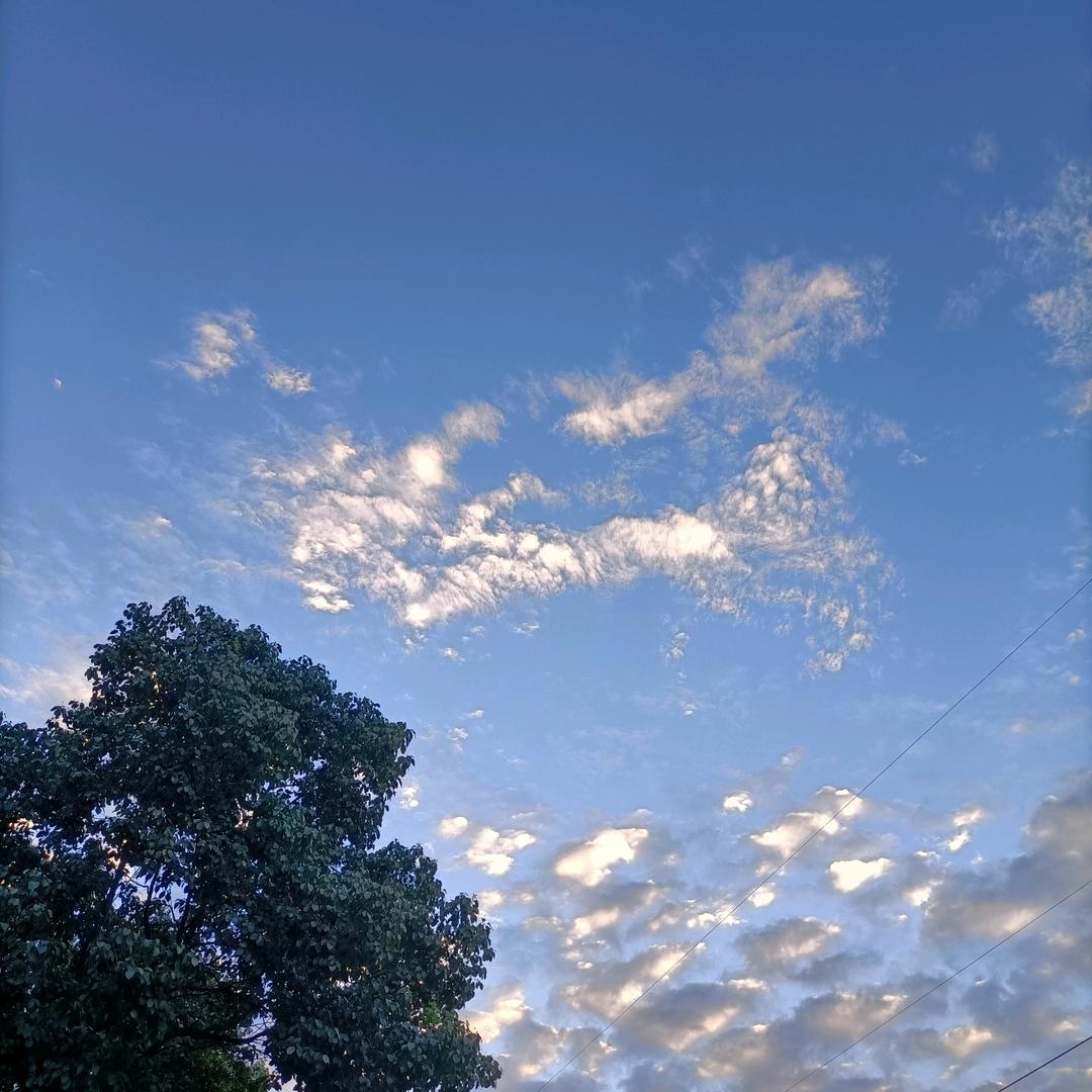 顺其自然  li🍁