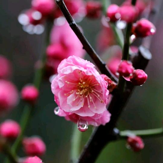 平淡人生