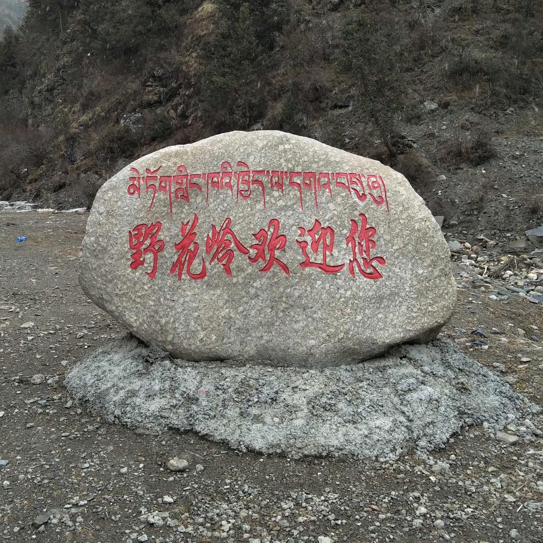 春去秋来