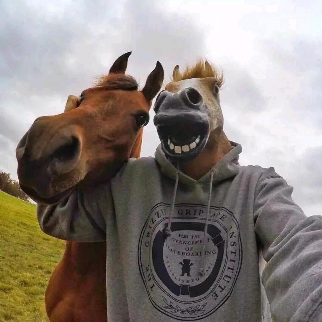 酿一壶陈酒