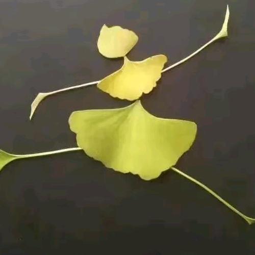 遇见（拒绝私聊，请勿连赞）